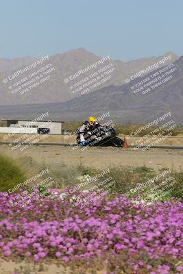 media/Feb-04-2023-SoCal Trackdays (Sat) [[8a776bf2c3]]/Turn 15 Inside Blooming (1050am)/